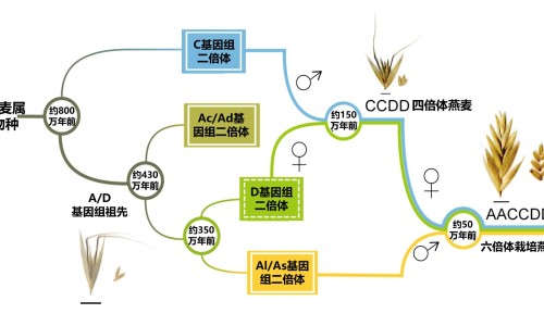幼儿脑袋出汗怎么回事网幼儿头出汗多怎么办知识网站,分享幼儿头上易出汗啥事大全